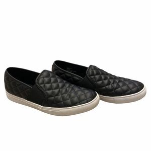Steve Madden Ecentrcq Slip-on Sneakers